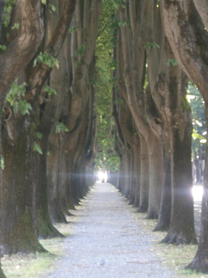 Apartmán Finca Del Sol Lucca Exteriér fotografie